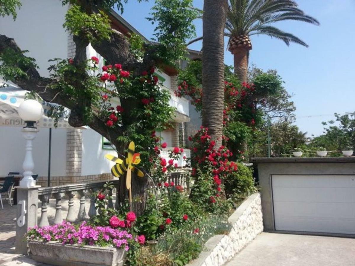 Apartman Marcela Palit Exterior foto